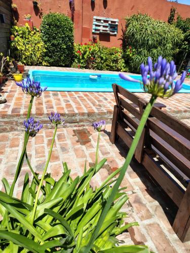 a bench and purple flowers next to a swimming pool at El Paraíso in Necochea