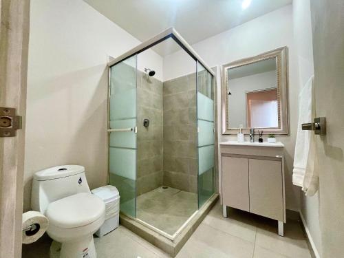 a bathroom with a shower and a toilet and a sink at Beautiful apartment, BBQ, A.C, 5 min Arena, Gym in Contla