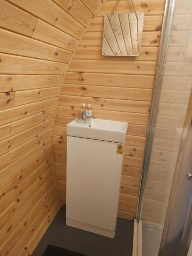 a bathroom with a toilet and a sink at Blackditch hideaway cabin in Kildare