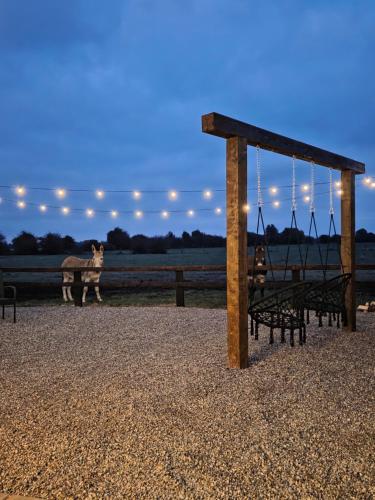 une aire de jeux avec une balançoire et un chien en arrière-plan dans l'établissement Blackditch hideaway cabin, à Kildare