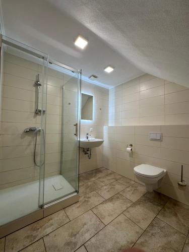 a bathroom with a shower and a toilet and a sink at Gasthaus und Pension Zur Libelle in Luisenthal