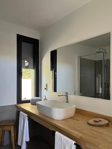 a bathroom with a sink and a large mirror at Los Castaños in La Alberca