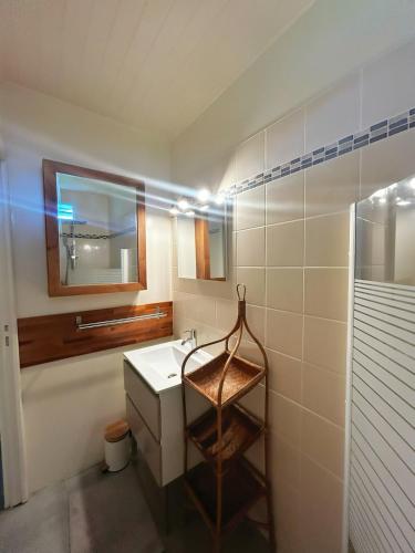 un baño con lavabo y espejo en Villa Celiane, en Petit-Bourg