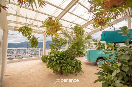 a greenhouse with plants and a truck in it at Secrt Sabana 2BR · Bright & Comfortable · Pool & Gym · Parking · Apt 2610 in San José