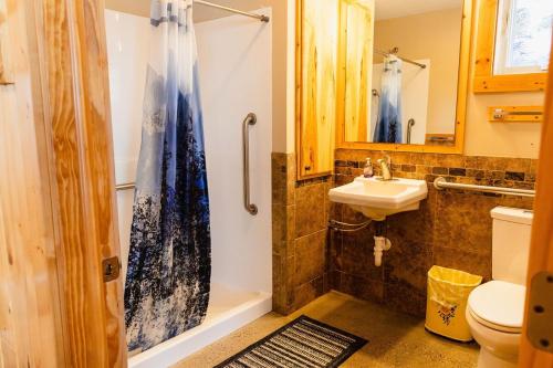 a bathroom with a shower and a sink and a toilet at Spruces at Pine Cone Lodge- Big Sand Lake in Park Rapids