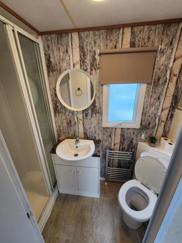 a bathroom with a toilet and a sink and a mirror at 92 Barmouth Bay Holiday Park in Llanddwywe
