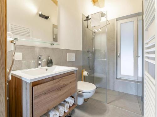 a bathroom with a sink and a toilet and a shower at Almchalet Alpenglück in Sankt Lambrecht