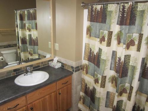 Un baño con lavabo y cortina de ducha. en Oak at Pine Cone Lodge - 1 large bedroom, en Park Rapids