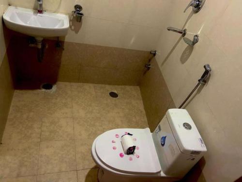 PokharaにあるHotel Good oneのトイレと洗面台付きのバスルーム