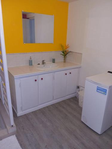 a bathroom with a white sink and a mirror at Chez Fab & Ketty in Le Moule