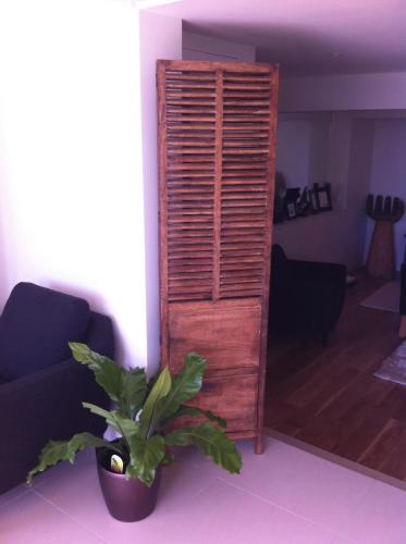 a wooden cabinet in a living room with a plant at The cashmere bothy in Christchurch