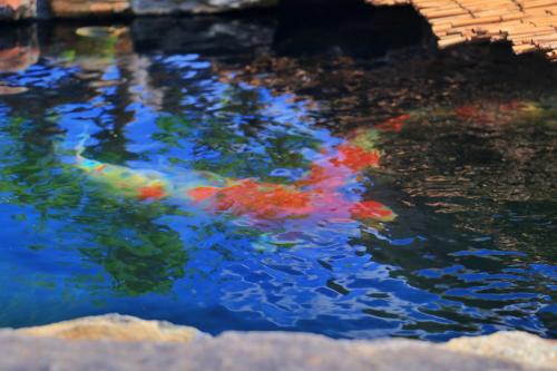 a pool of water with colorful kites in it at 蔵宿 みやびや in Utazu