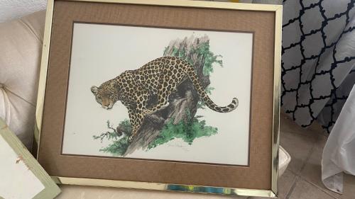 a picture of a leopard in a picture frame at Don Bosco Leon in San José de Malpaso