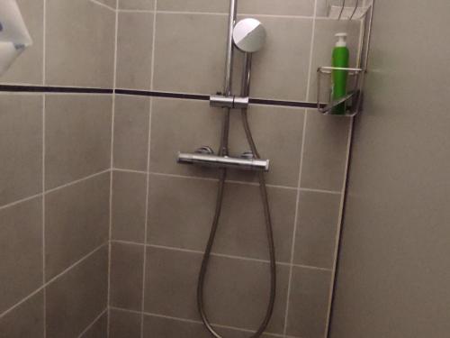 une douche avec pommeau de douche dans une salle de bain dans l'établissement Appartement moderne au pied des pistes pour 6 avec WIFI - FR-1-814-164, à Super-Besse
