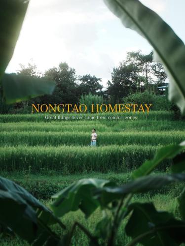 a child standing in a field of grass at Nongtao Homestay in Ban Dong Than