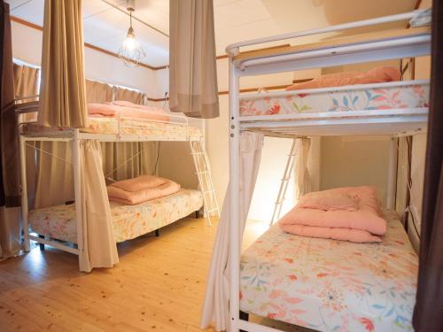 Guesthouse Banvina ゲストハウス バンビーナ