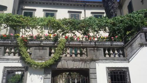 a white building with flowers on a balcony at Tangohotel in Lucca