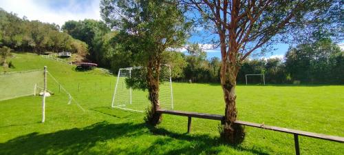 two trees in a field with a soccer field at Cabaña donde Chapalla in Queilén