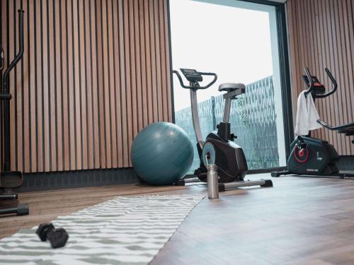 托农莱班ibis Styles Thonon-les-Bains的健身房设有健身器材和地板上的球