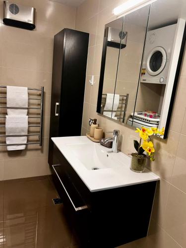 Koupelna v ubytování Queenstown Apartment