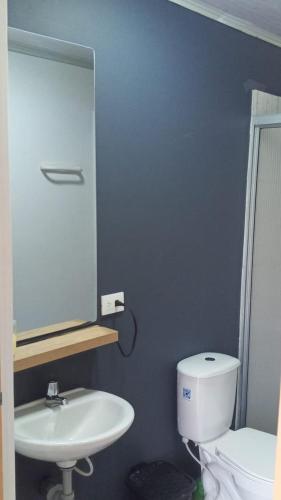 a bathroom with a toilet and a sink and a mirror at Finca El Turpial in Alcalá