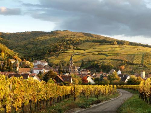 een dorp in de heuvels met wijngaarden en een weg bij Gîte Au Coeur De Ribeauvillé in Ribeauvillé