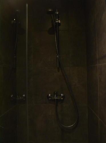 a shower in a bathroom with a glass door at Maison D'ide in Bouillon