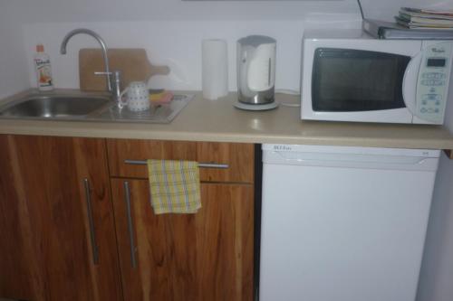 a kitchen counter with a microwave and a sink at Zawoja Pod Grapą in Zawoja