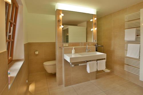 a bathroom with a sink and a toilet and a mirror at Weinhotel OFFENSTEIN ERBEN in Eltville