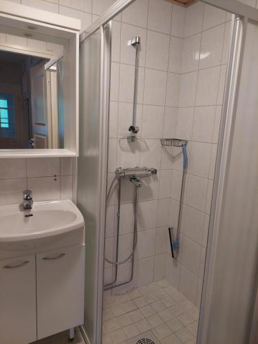 a bathroom with a shower and a sink at Levistar studio with sauna in Levi