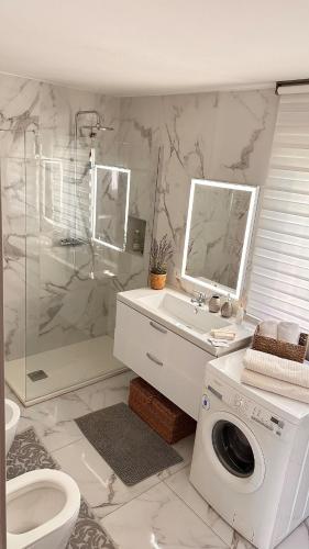a bathroom with a shower and a sink and a washing machine at Dina’s Flower House in Lierna