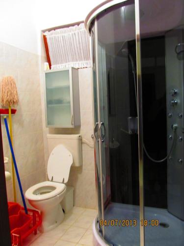 a small bathroom with a toilet and a shower at Villa Milan in Vinkuran