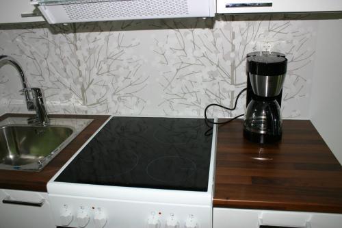 Kuchyň nebo kuchyňský kout v ubytování Apartment Kievarinhovi