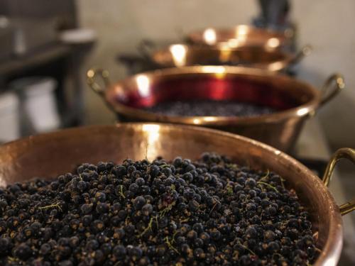 Fotografie z fotogalerie ubytování greet hotel Lille Gare Flandres - Groupe Accor v destinaci Lille