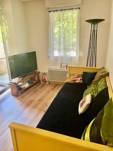 Appartement T2 TOULOUSE ST MARTIN DU TOUCH