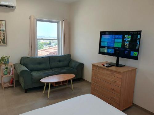 a living room with a green couch and a tv at River and Mountains in HaGoshrim