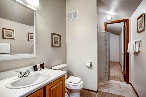 a bathroom with a sink and a toilet and a mirror at The Forest Neighborhood by Keystone Resort in Keystone