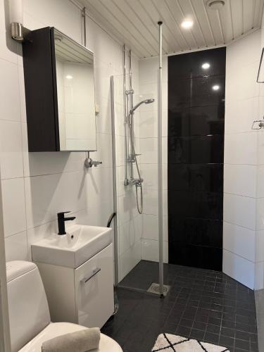 a bathroom with a toilet sink and a shower at Unique & premium apartment with free wifi & parking for 2 cars in the center of Kerava in Kerava