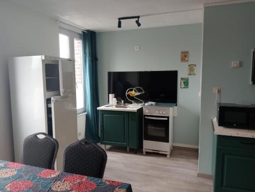 a kitchen with green cabinets and a stove top oven at Coriandre La Tisanerie 1 room apartment et lits d appoint in Condé-sur-lʼEscaut