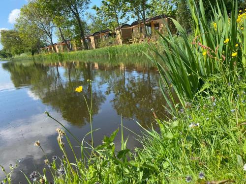 a view of a pond with a house in the background at Aqua Lodge in Petten