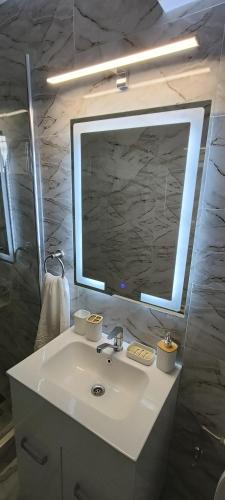 a bathroom sink with a large mirror above it at Studio Central Brancusi in Târgu Jiu