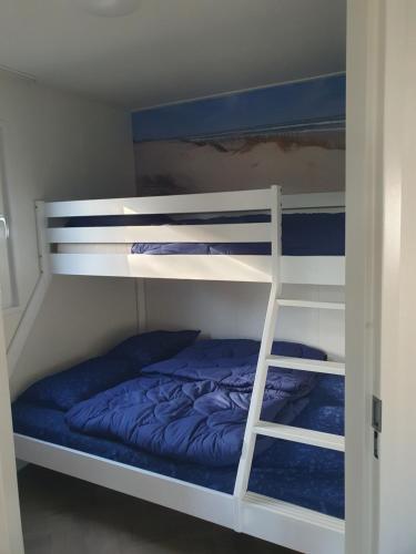 ein Schlafzimmer mit zwei Etagenbetten mit blauen Laken in der Unterkunft Chalet 87 in Petten
