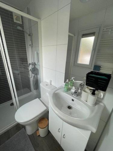 a white bathroom with a toilet and a sink at Chalet 130 in Petten