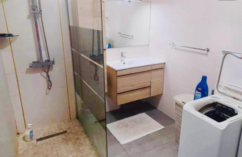 Koupelna v ubytování Appartement spacieux