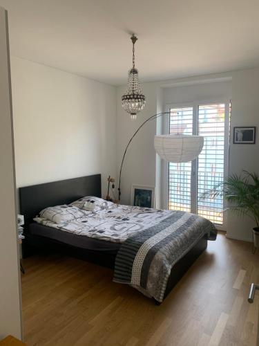 Beautiful Apartment in Central Zurich