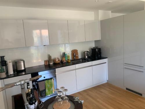 Beautiful Apartment in Central Zurich