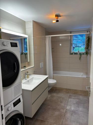 a bathroom with a sink and a washing machine at Mountain View Apartment in Schattdorf