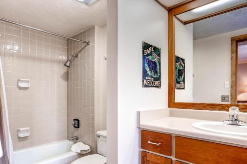 a bathroom with a sink and a toilet and a mirror at Evergreen Condominiums by Keystone Resort in Keystone