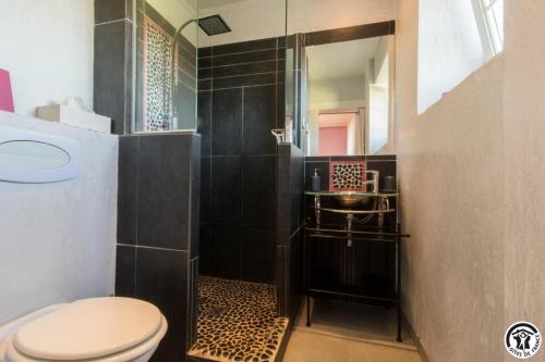 a bathroom with a toilet and a shower at La demeure de zoé in Castelbiague