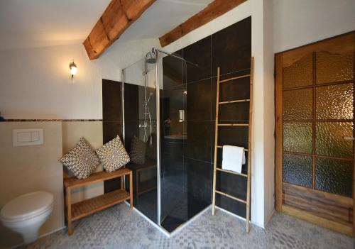 une salle de bain avec une douche en verre et des toilettes dans l'établissement Auberge U n'Antru Versu, à San-Gavino-di-Carbini